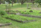 Howick NSWsustainable-landscaping-19.jpg; ?>