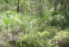 Howick NSWsustainable-landscaping-21.jpg; ?>